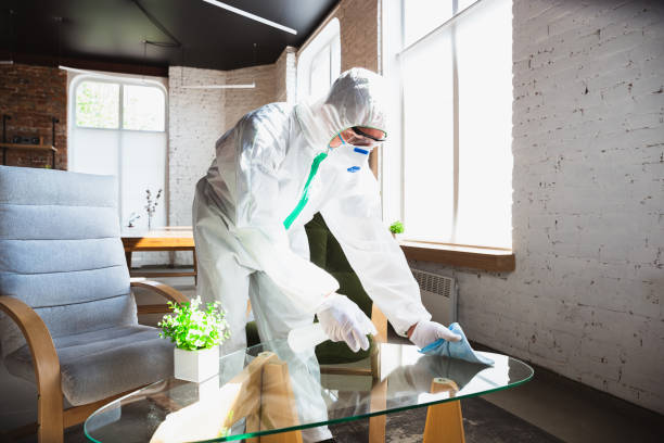 Why You Should Choose Our Mold Remediation Services in Freeburg, IL